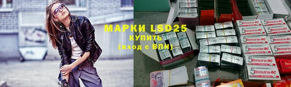 apvp Алзамай