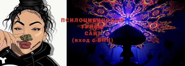 apvp Алзамай
