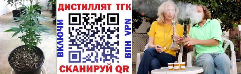 ссылка на мегу маркетплейс Шали ТГК концентрат